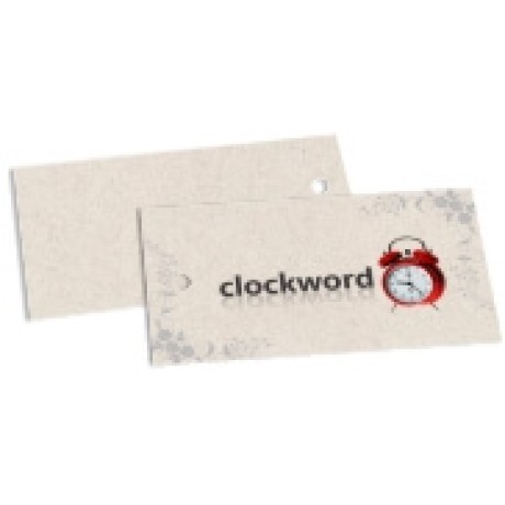 TAGS PADRÃO FURO RECICLATO 250G SEM VERNIZ 91X51MM Colorido frente - 100 un.