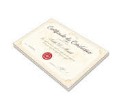 CERTIFICADOS 300X210MM APERGAMINHADO 240G