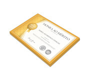 CERTIFICADOS 300X210MM APERGAMINHADO 240G