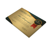 CERTIFICADOS 300X210MM GOLD MASTER 300G