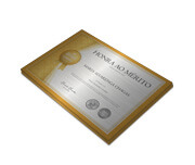 CERTIFICADOS 300X210MM SILVER LUX 300G