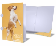 PASTAS COUCHÊ 300G ORELHA E BOLSA ENCAIXE VERNIZ UV TOTAL FRENTE