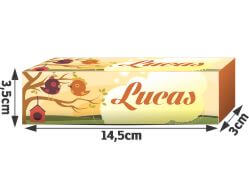 PRODUTOS PARA FESTA CAIXA PARA BISNAGA COUCHÊ 275G